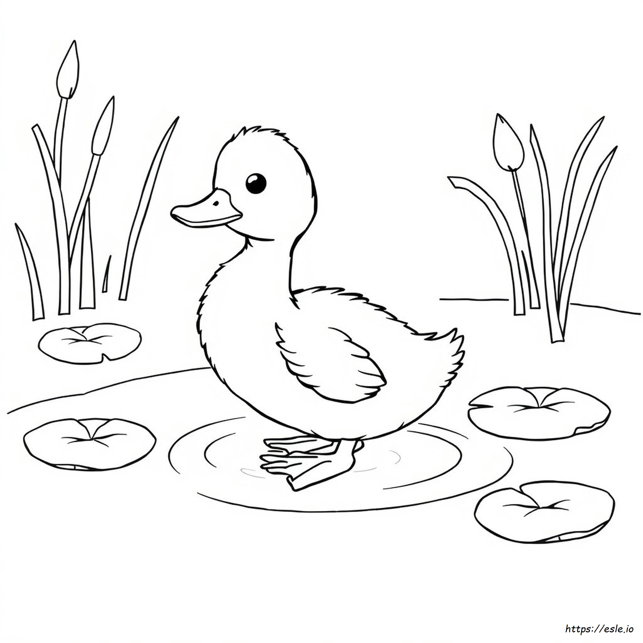 Baby Duck Coloring Page