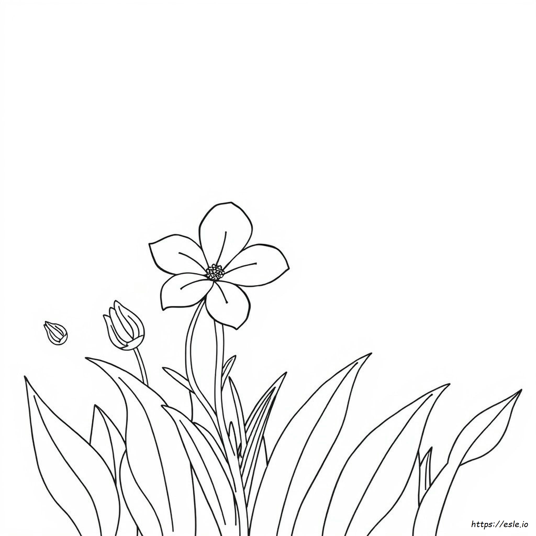 Free Coloring Pages Of Spring Flowers