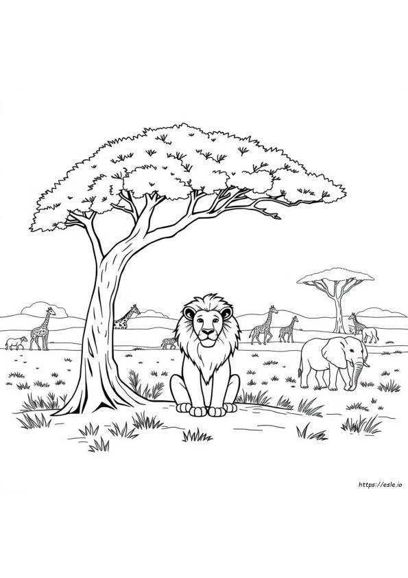 Disegni Da Colorare Africa Gratis