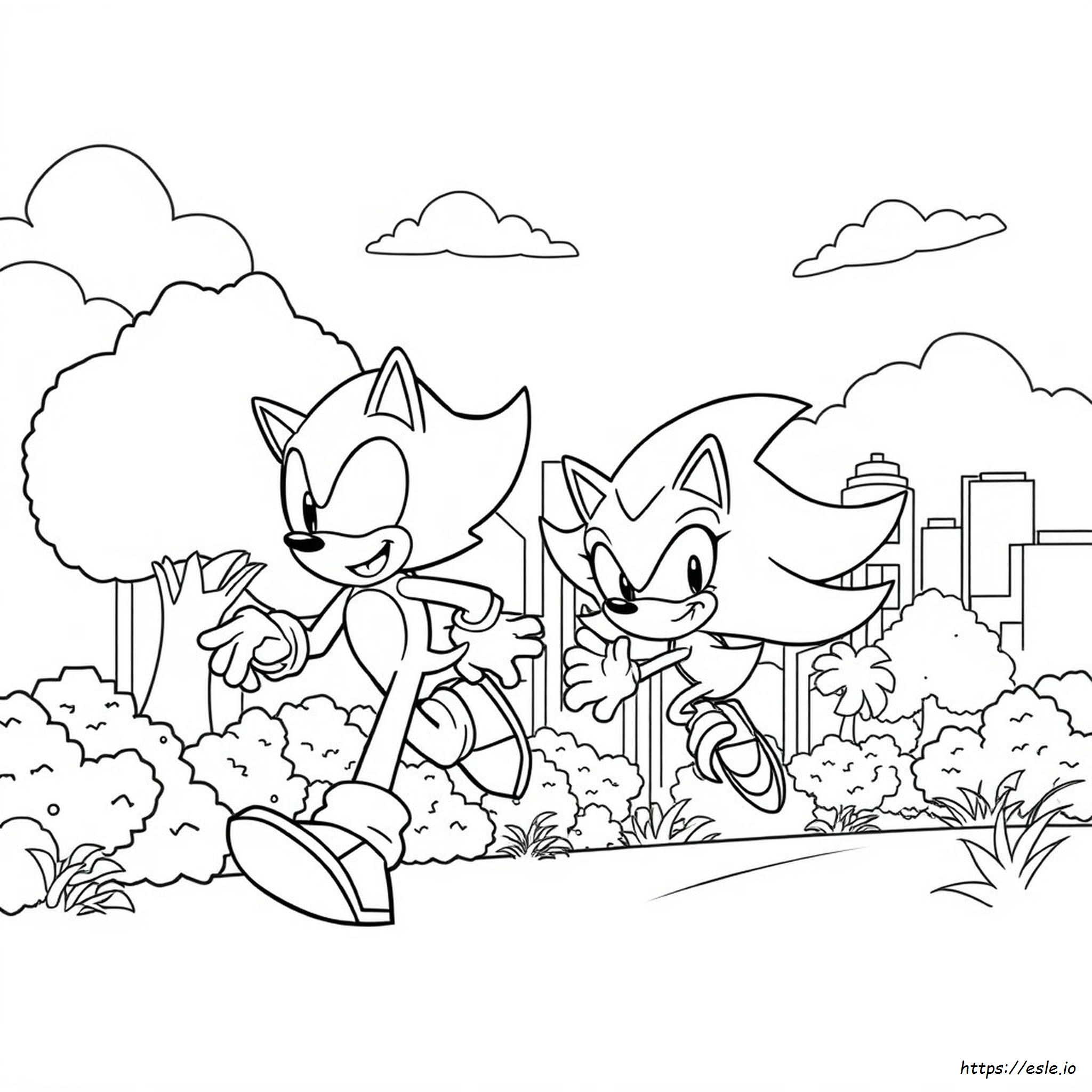 Sonic E Shadow Da Colorare