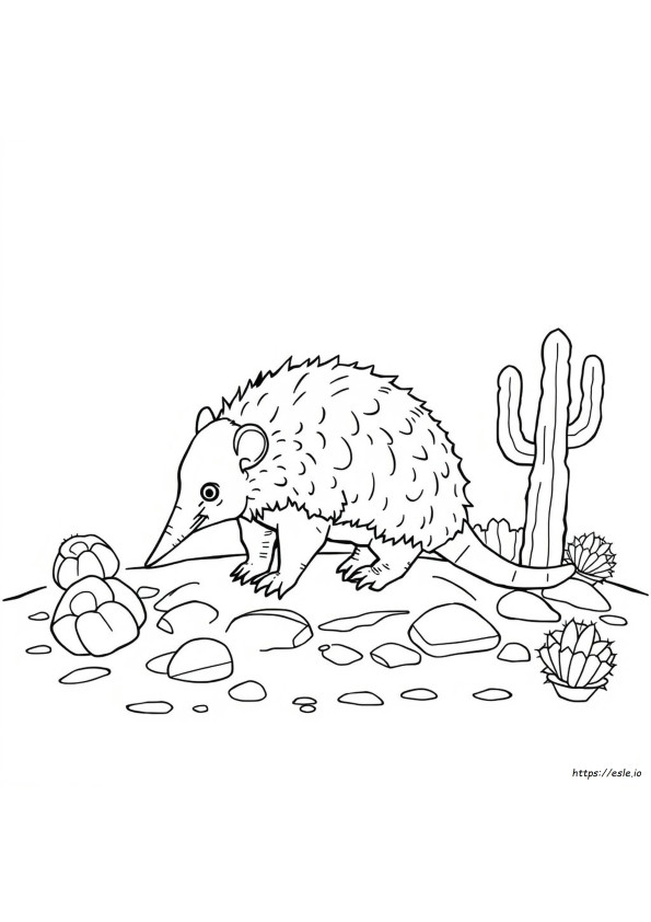 Coloriage De Tatou À Imprimer