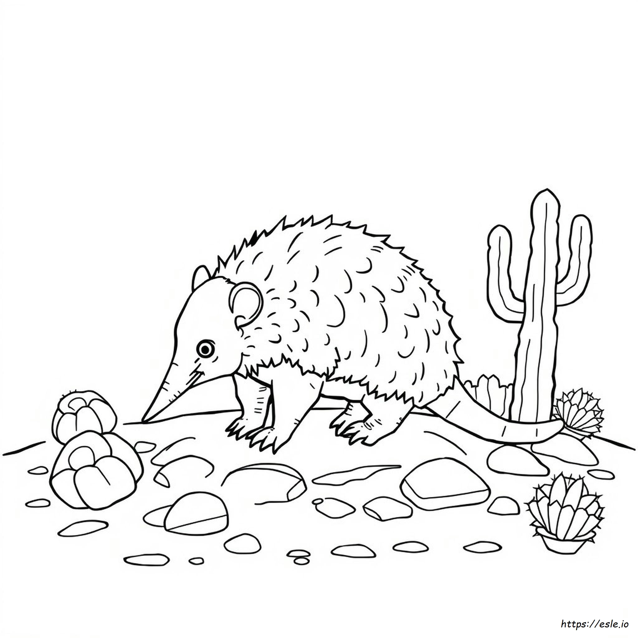 Printable Armadillo Coloring Page