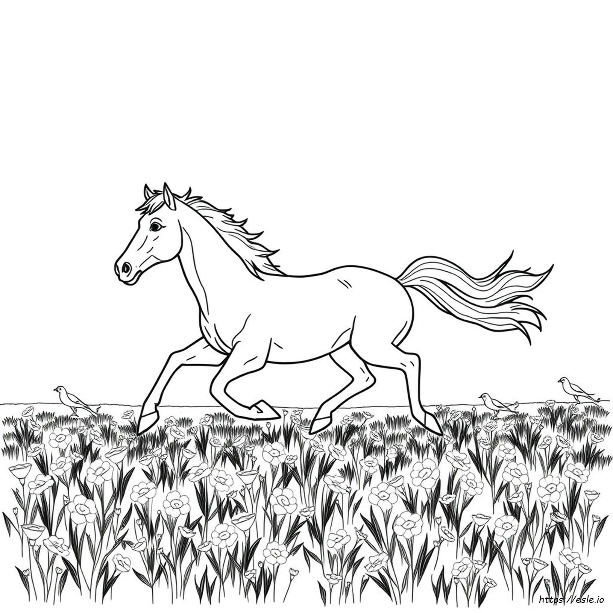 Galloping Horse Coloring Pages
