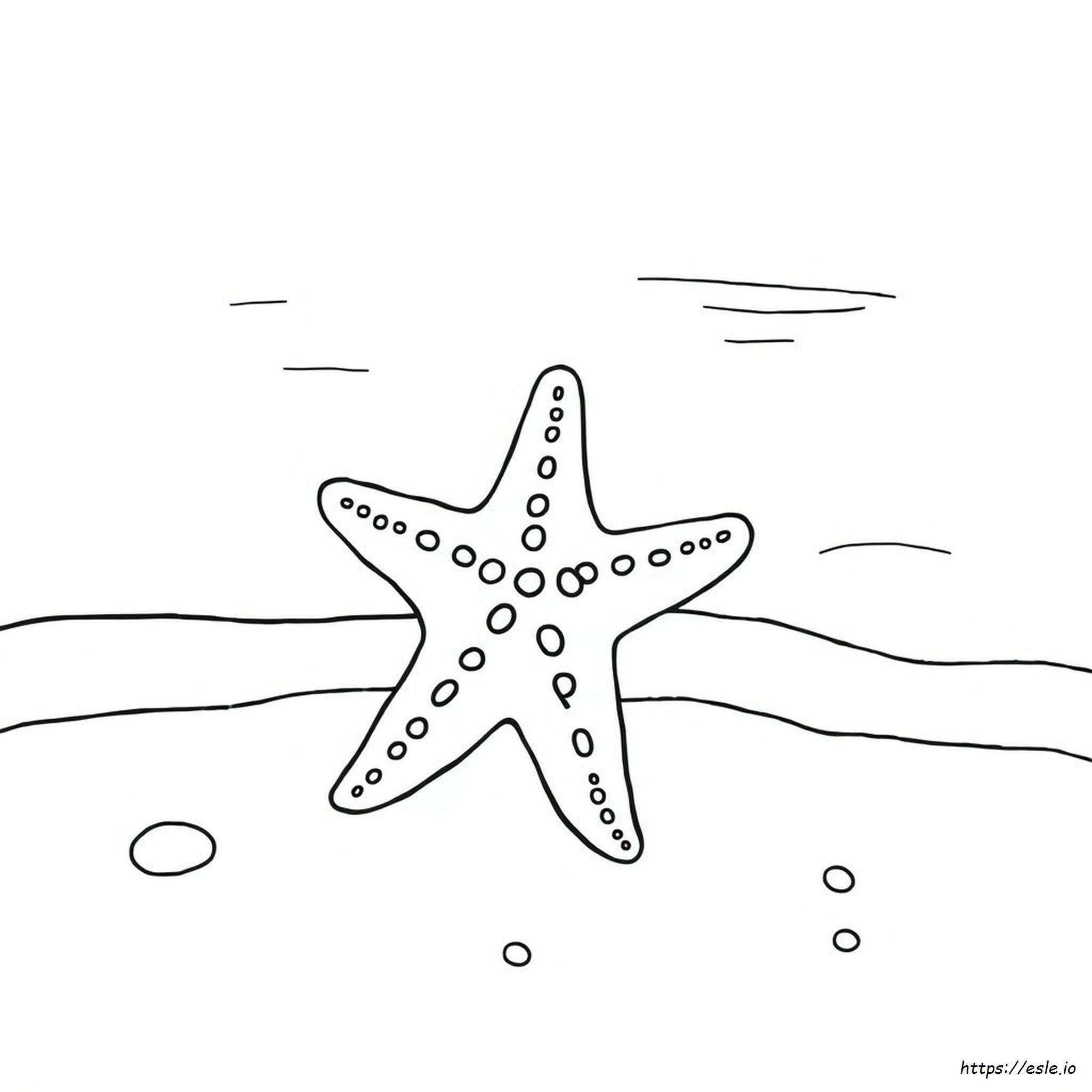 Free Printable Starfish Coloring Pages