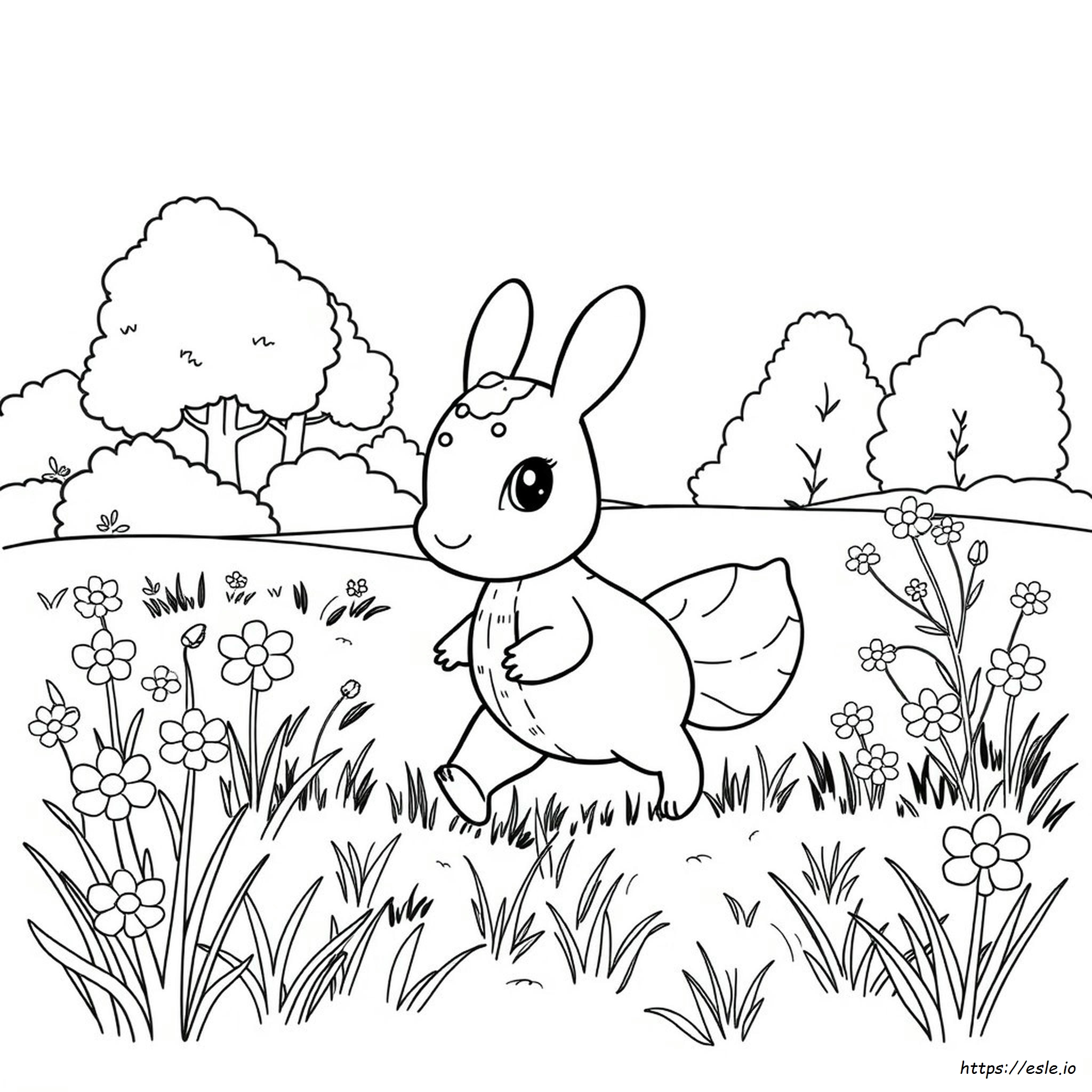 Nidoran Para Colorear
