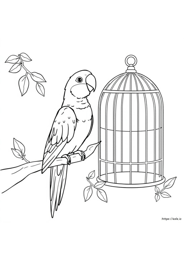 Arara De Adopt Me Para Colorir
