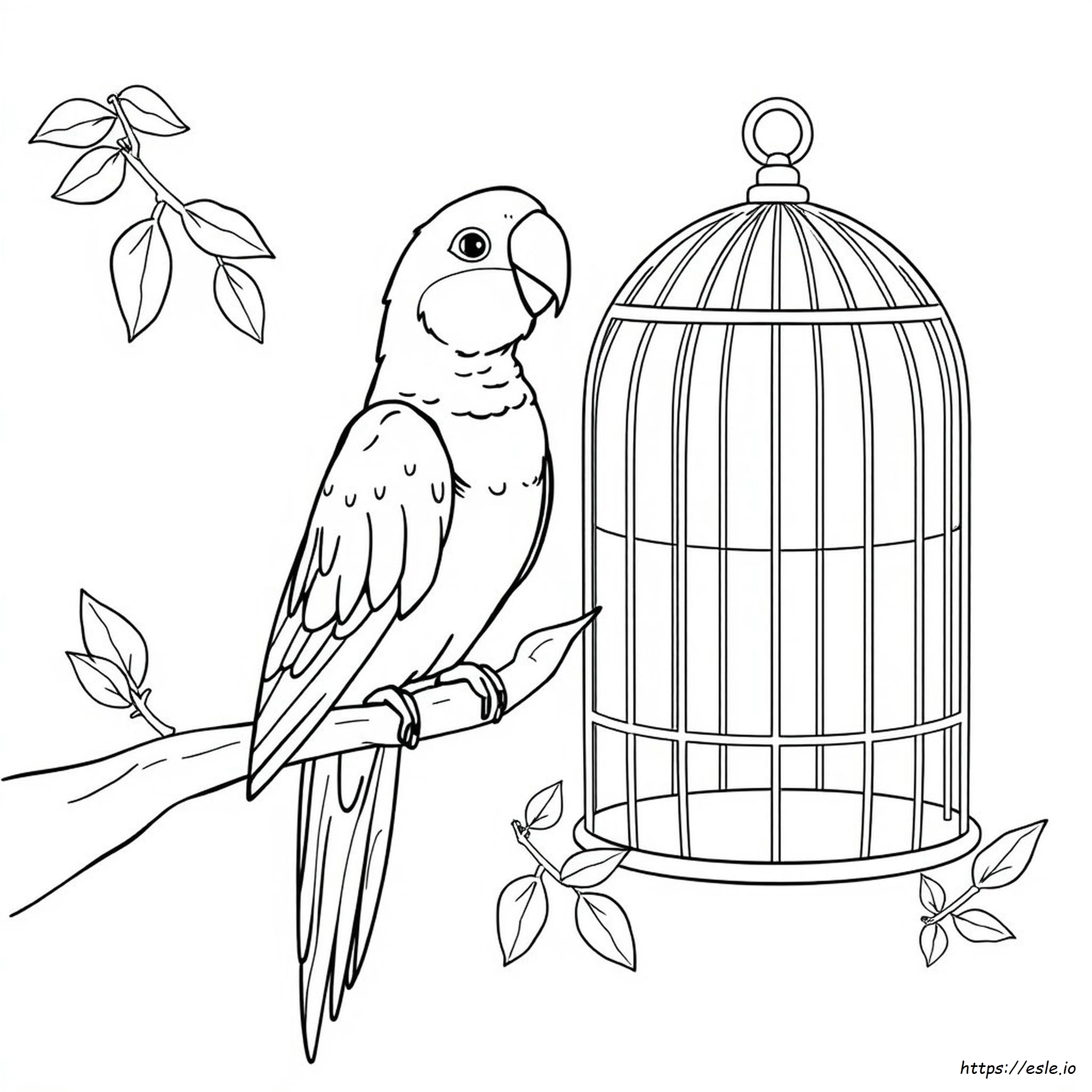 Adopt Me Coloring Pages Parrot