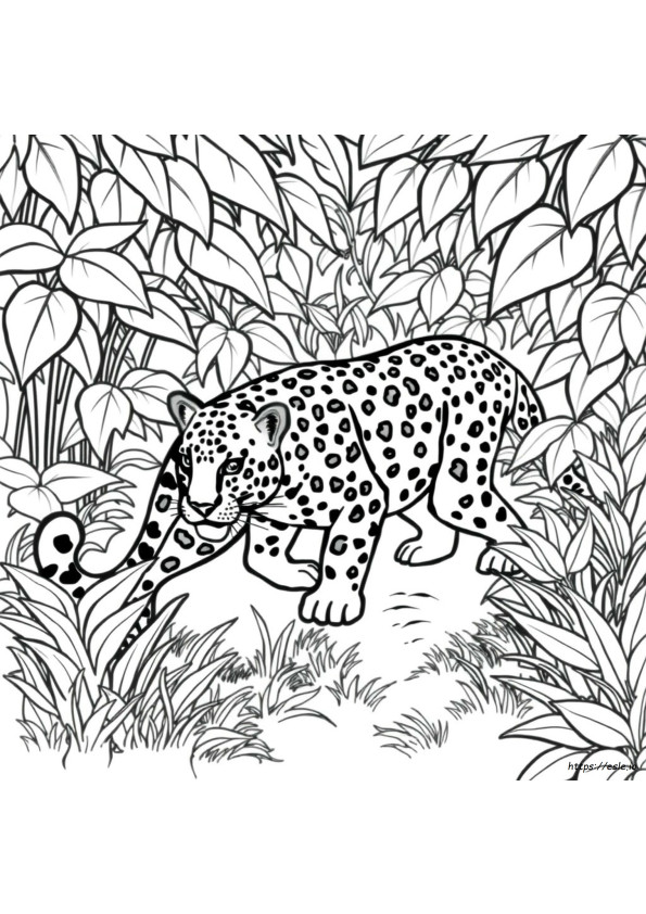 Jaguar Ausmalbilder