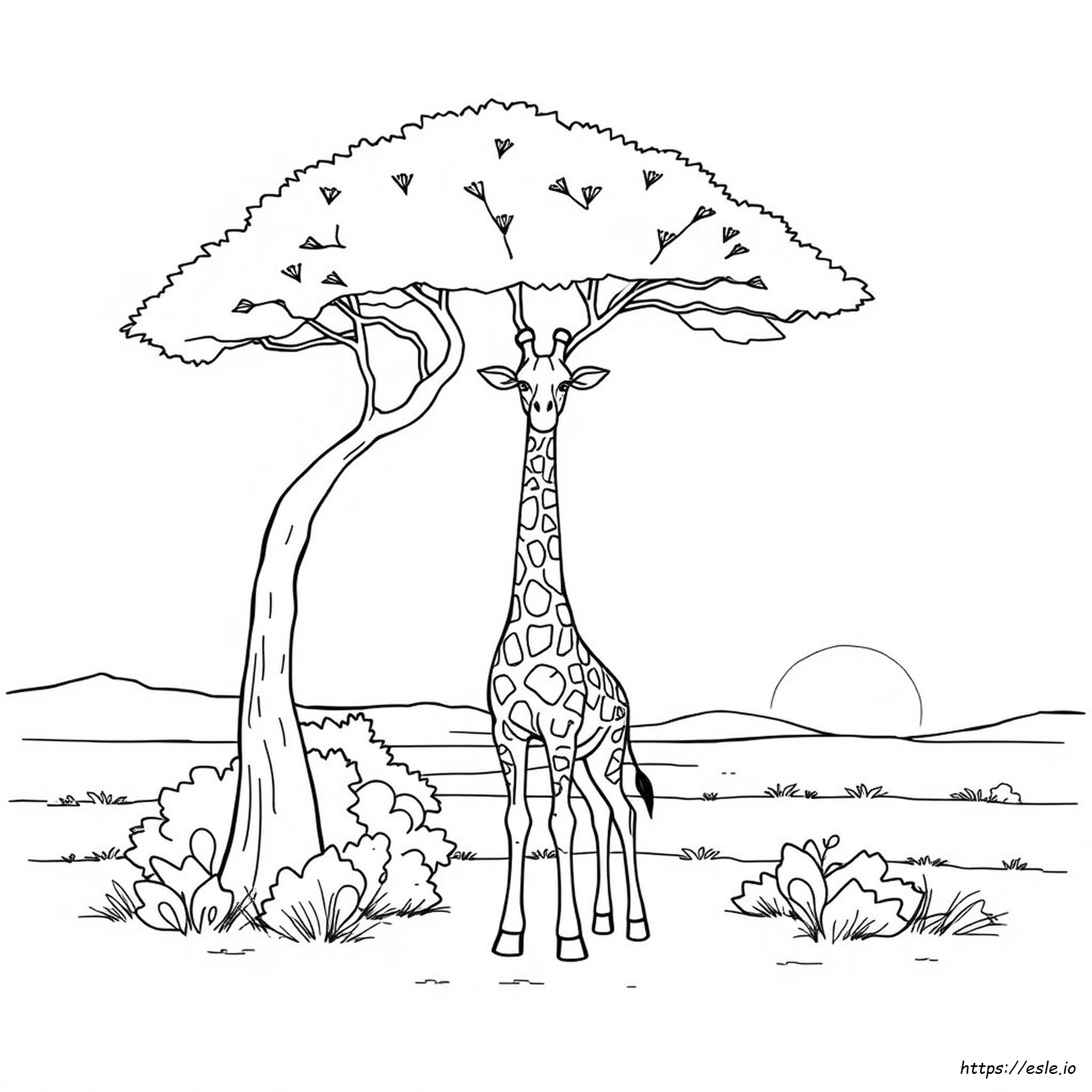 Coloring Picture Of A Giraffe