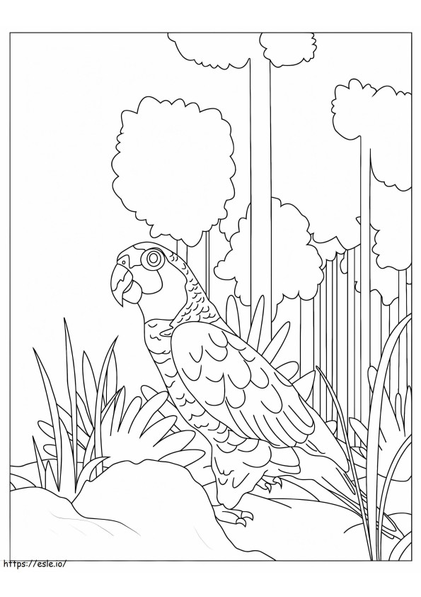 Picior Macaw de colorat