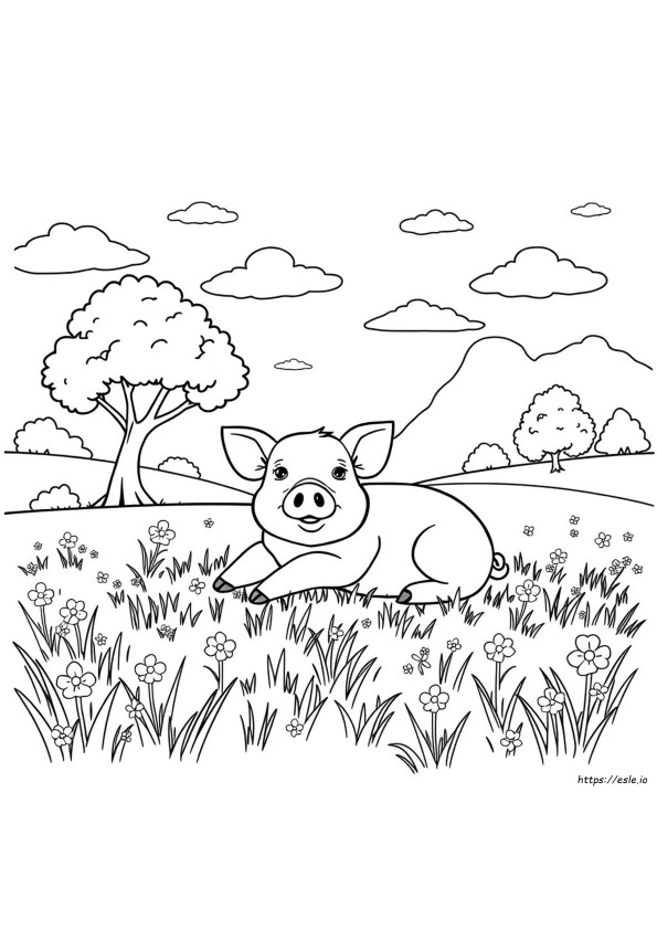 Gambar Mewarnai Babi Dewasa
