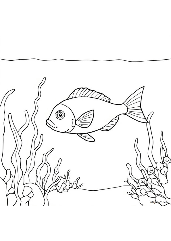 Gambar Mewarnai Ikan Sederhana