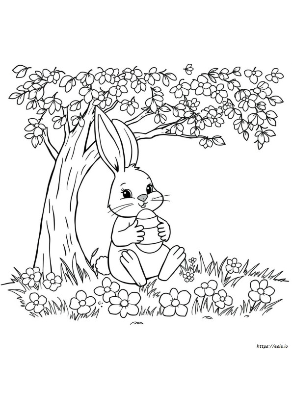 Immagini Di Pasqua Da Colorare
