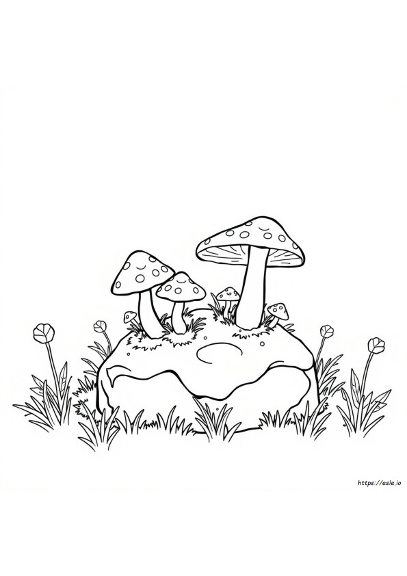 Pilz Ausmalbilder Für Kinder