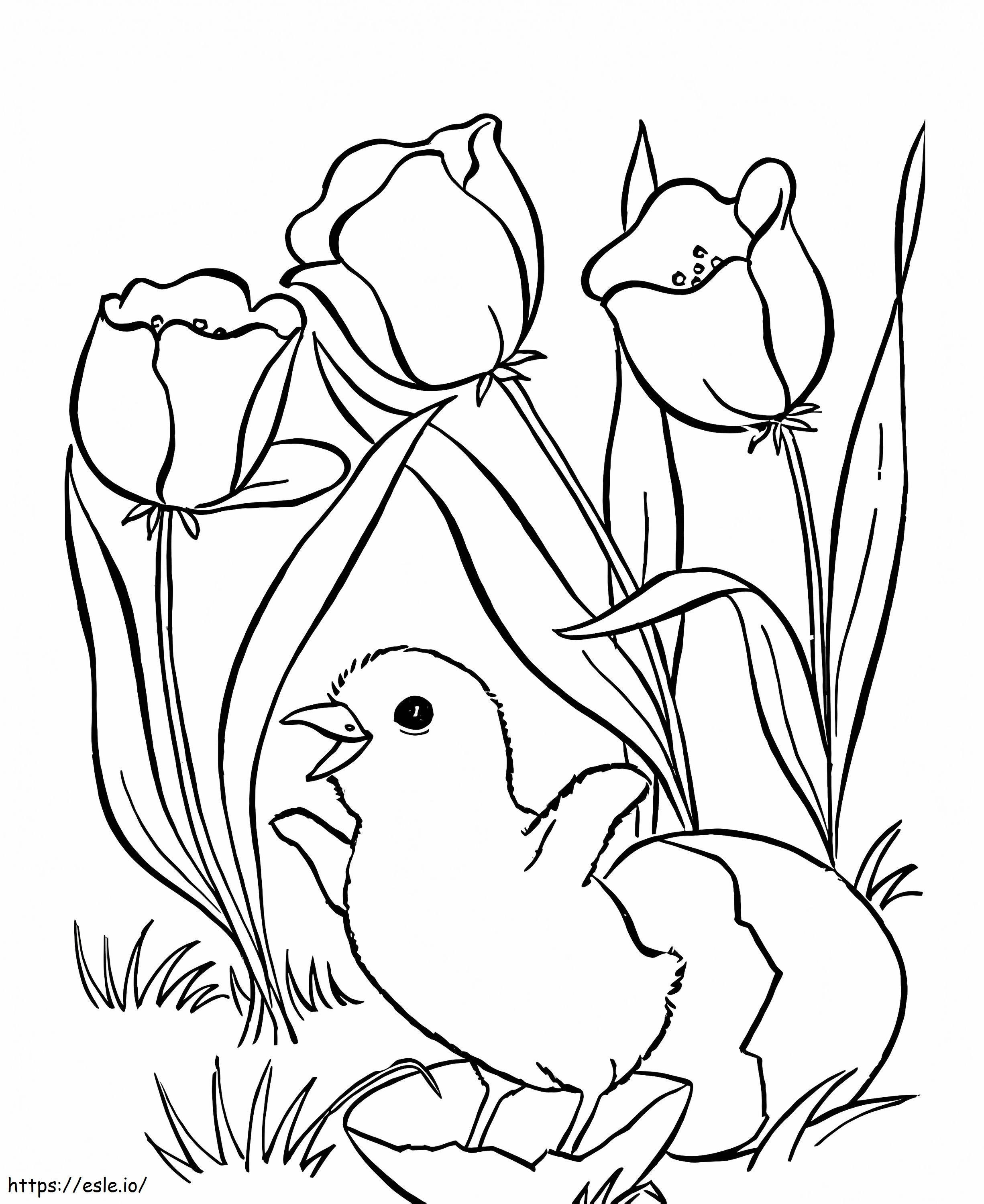 Easter Chick And Rose coloring page