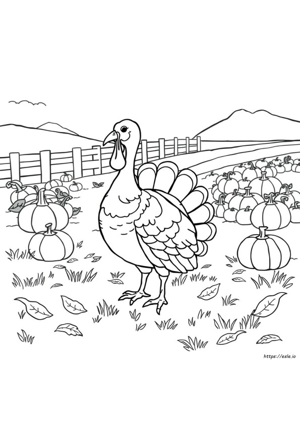 Turkey Coloring Pages Colored In