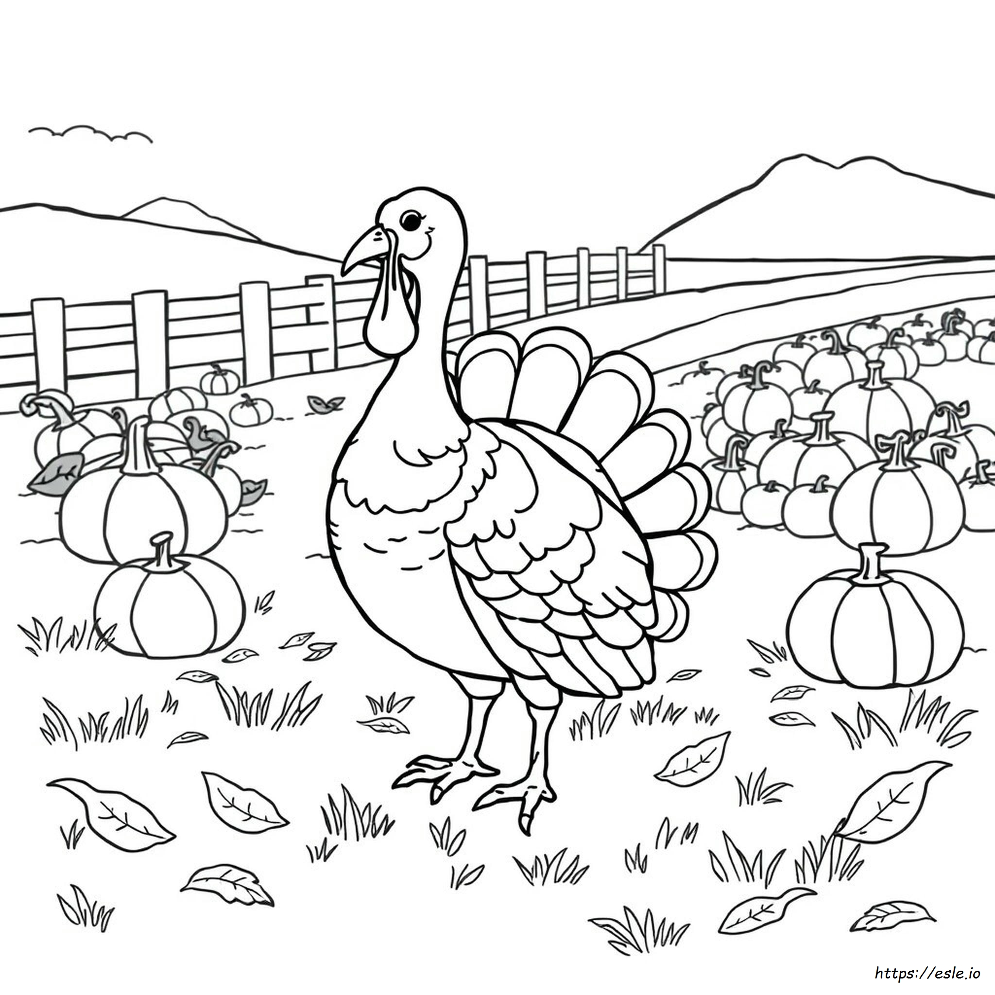 Turkey Coloring Pages Colored In
