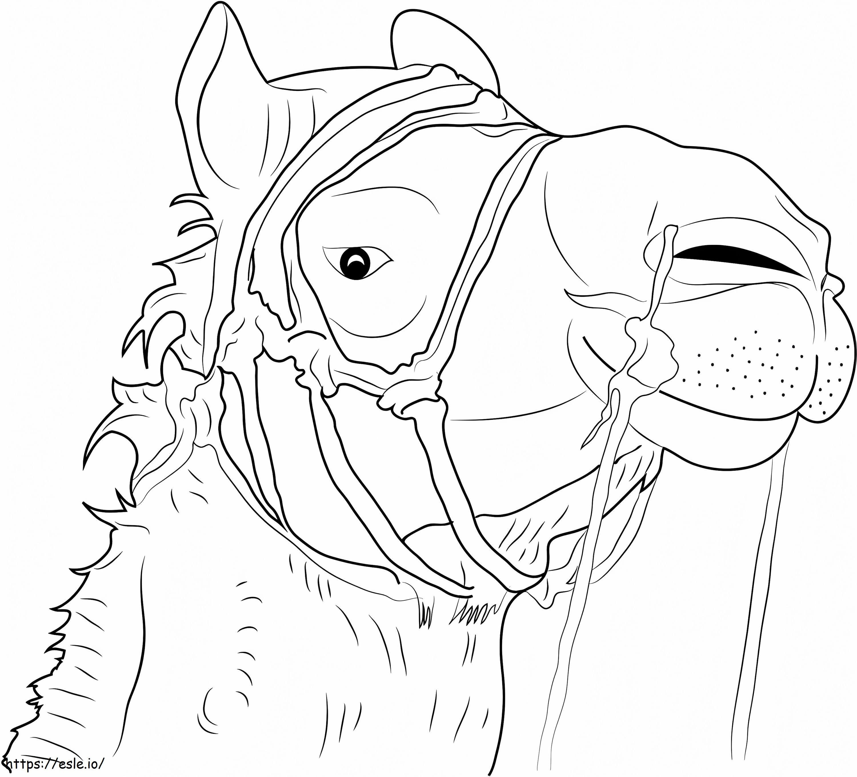 Face Of Camel A4 coloring page