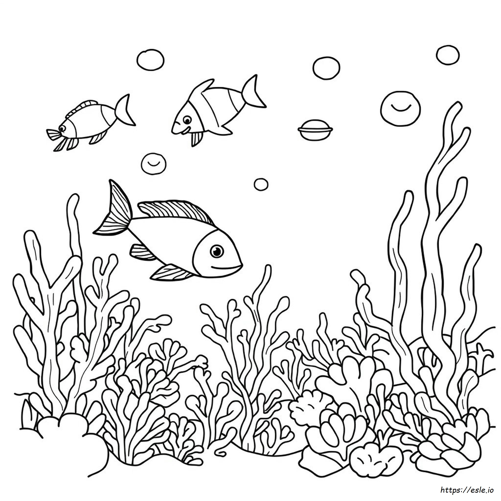 Dibujos Para Colorear De Vida Marina