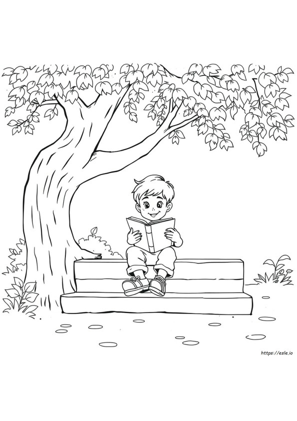 Disegni Da Colorare 2 Timoteo