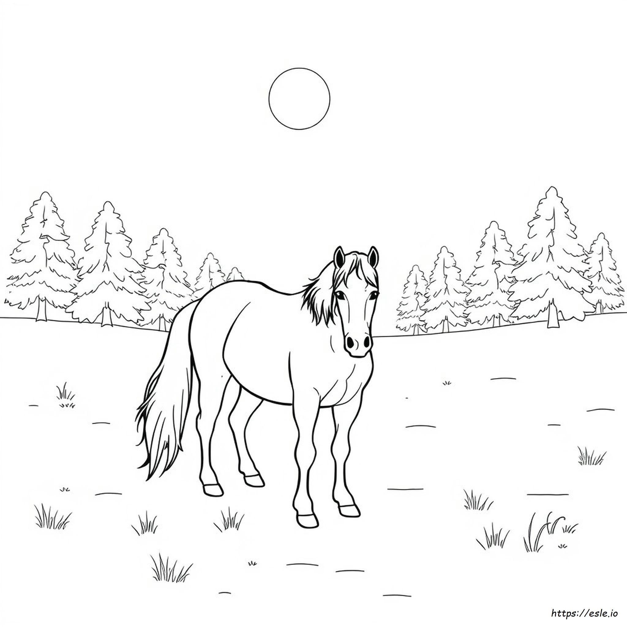 Winter Horse Coloring Pages