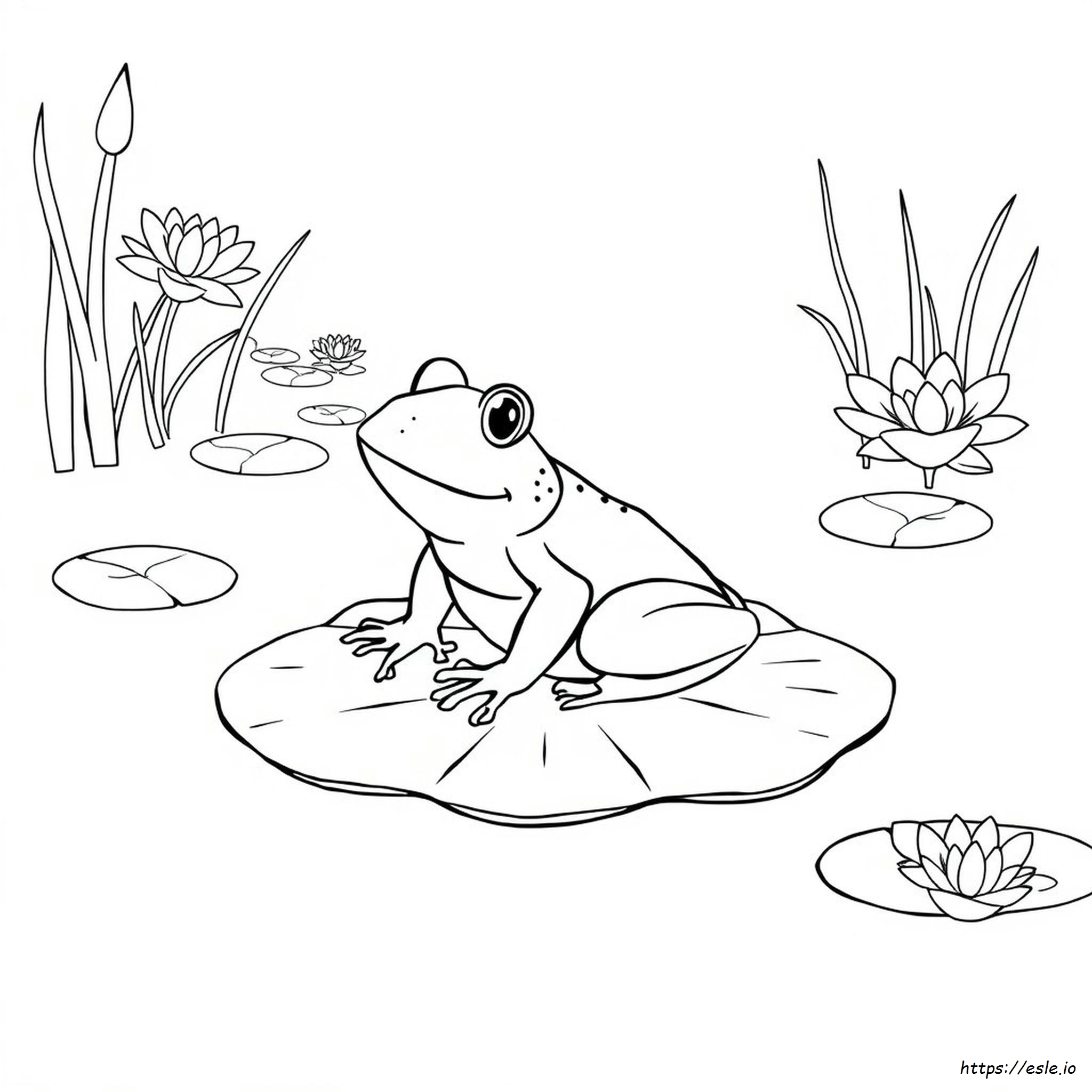 Páginas Para Colorear De Ranas Realistas