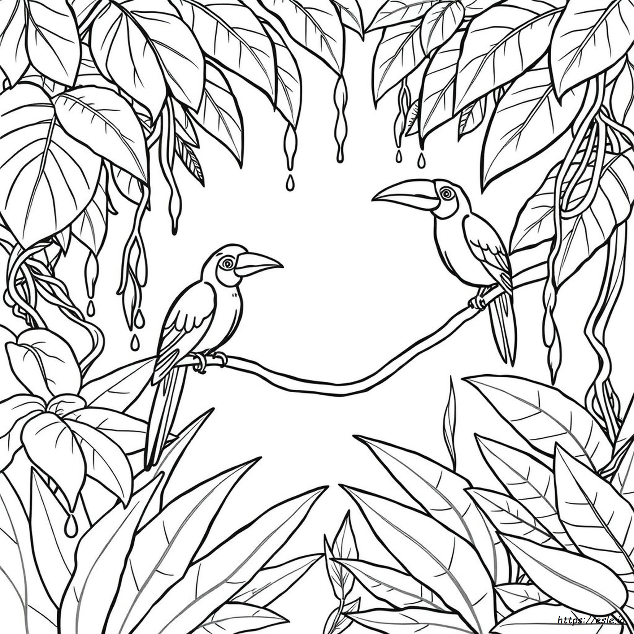 Printable Rainforest Animals Coloring Pages