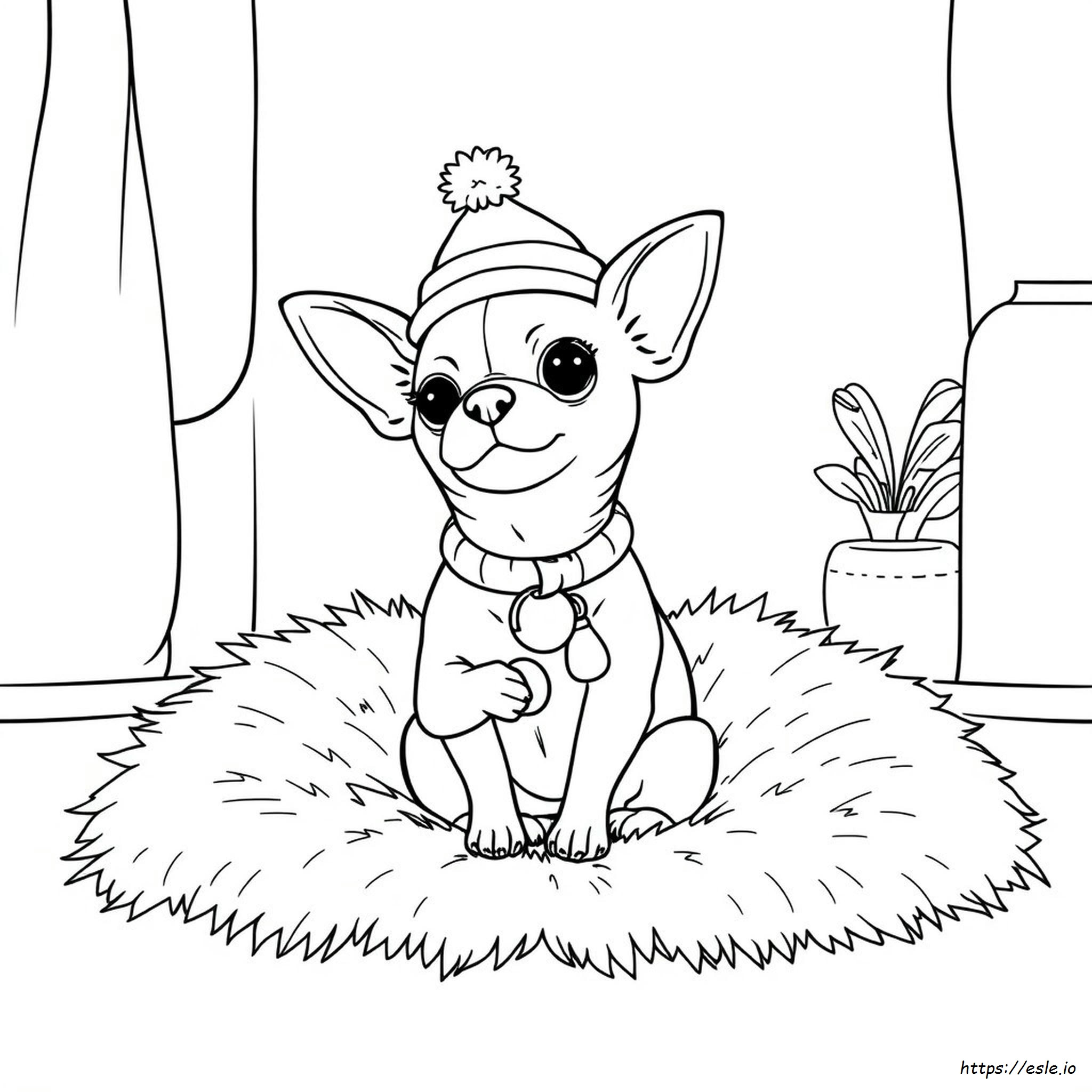 Free Printable Chihuahua Coloring Pages
