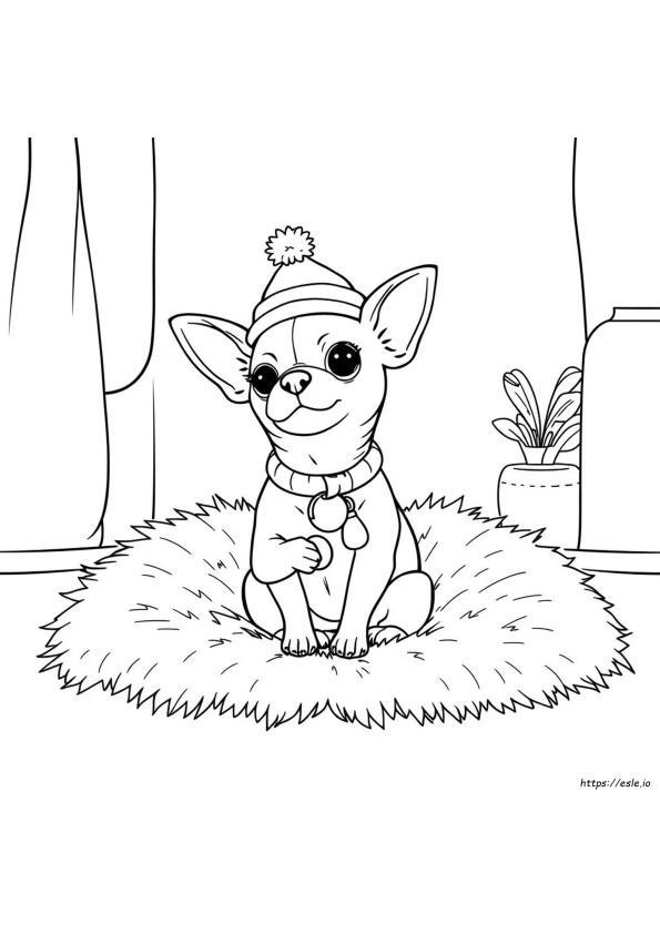 Free Printable Chihuahua Coloring Pages