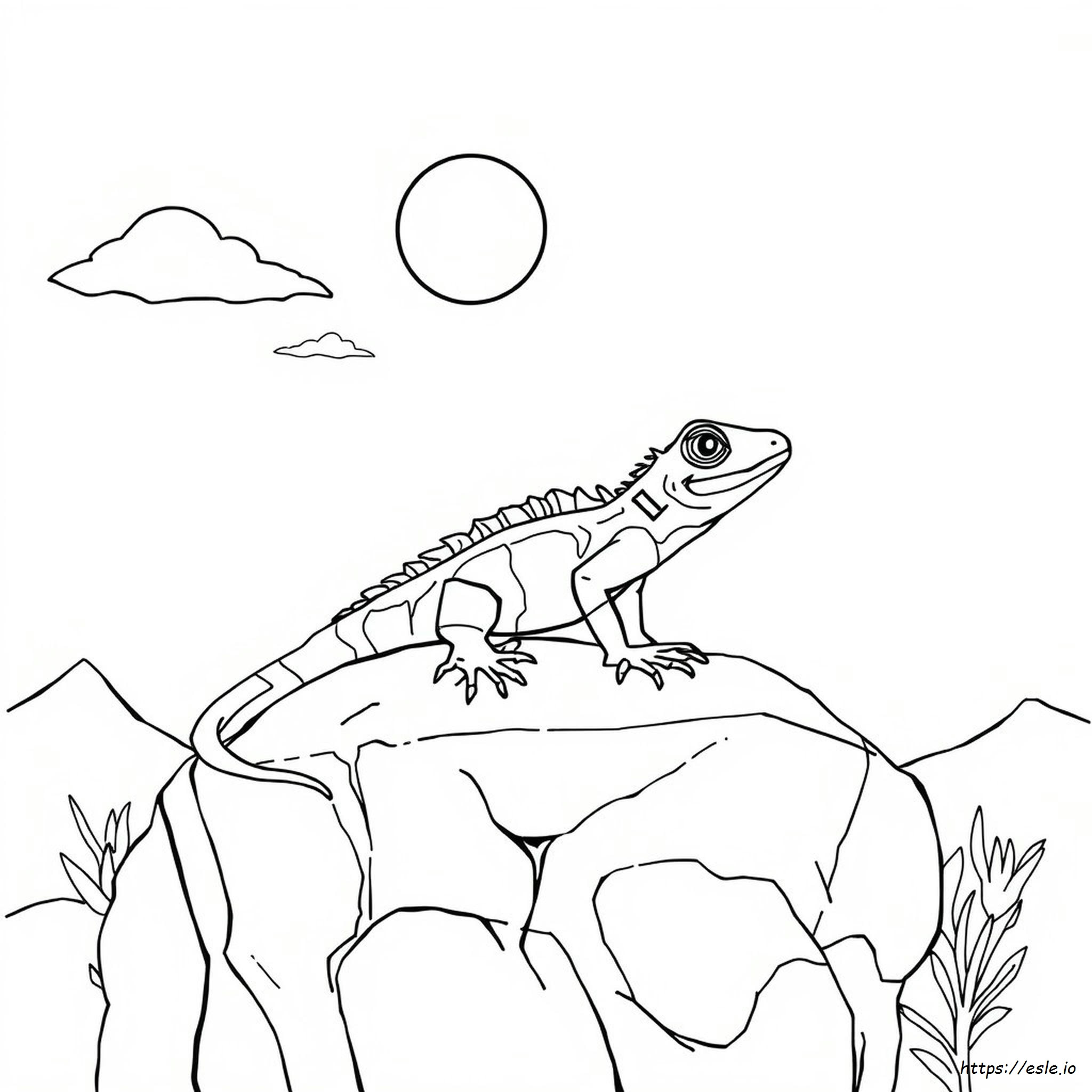 Lizard On Rocks Colouring In Lizard Printable Coloring Pages