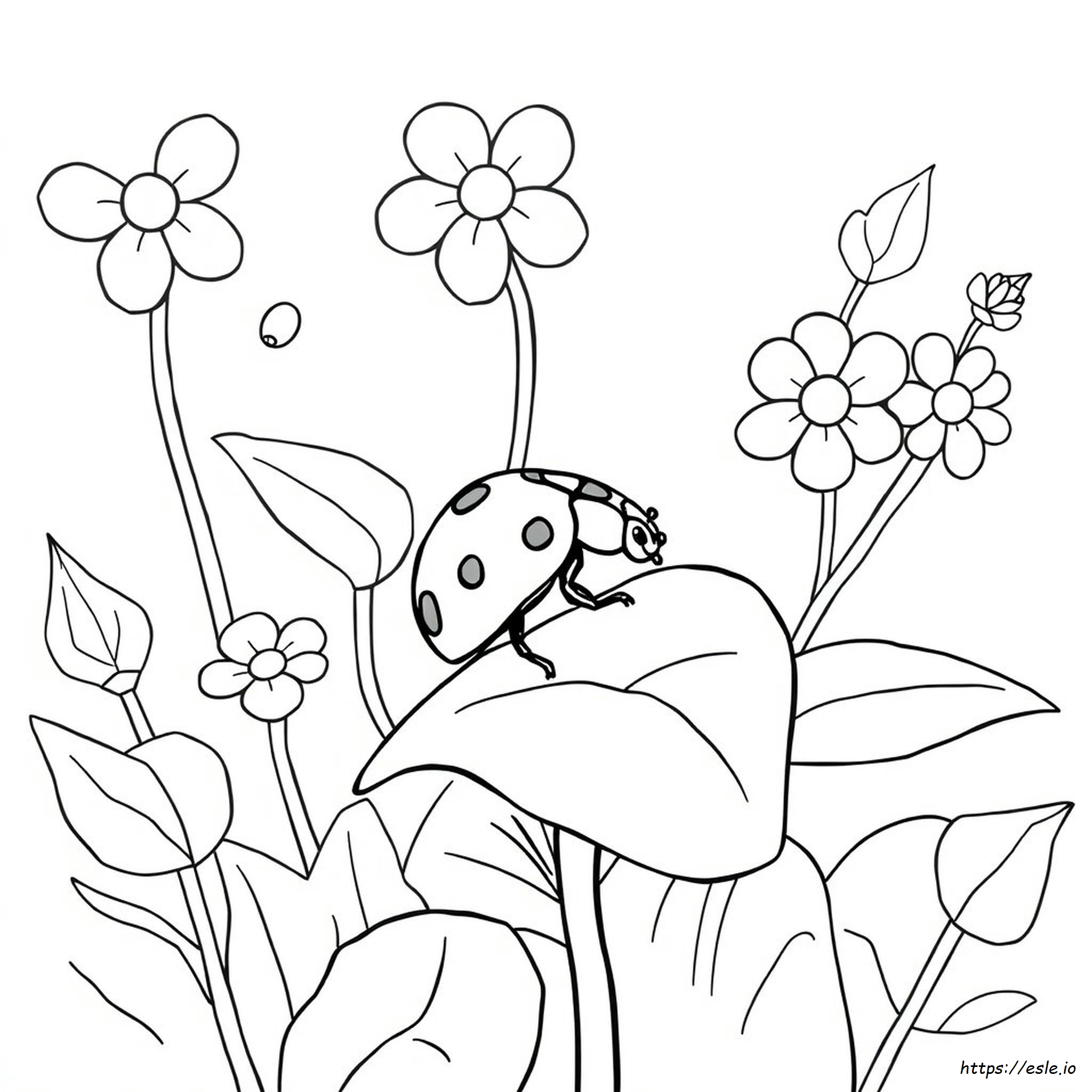 Coloring Pictures Of Ladybugs