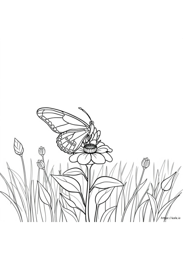 Coloriage Papillon Gratuit Pour Adultes