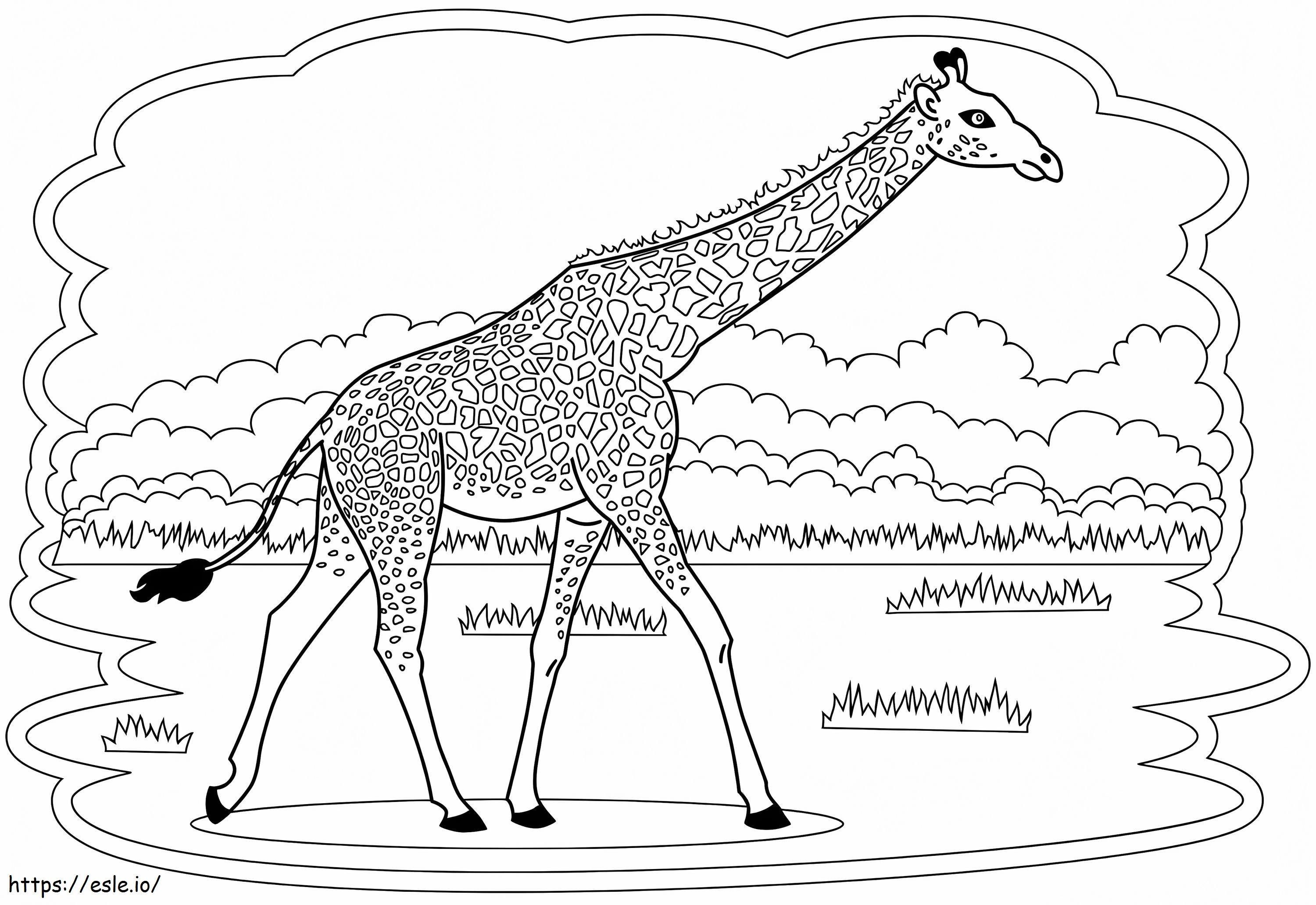 Giraffe For Children coloring page