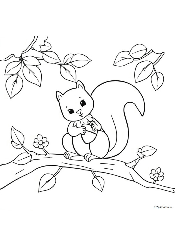 Printable Cute Squirrel Coloring Page