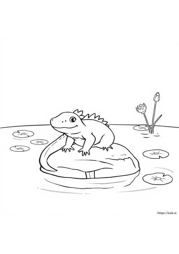 Cartoon Axolotl Kleurplaat