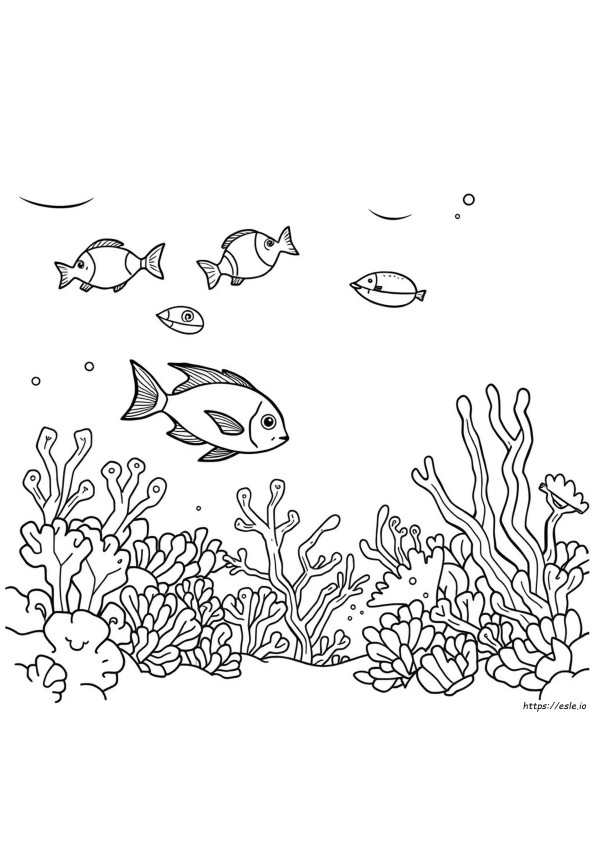 Pagini De Colorat Cu Ocean Subacvatic