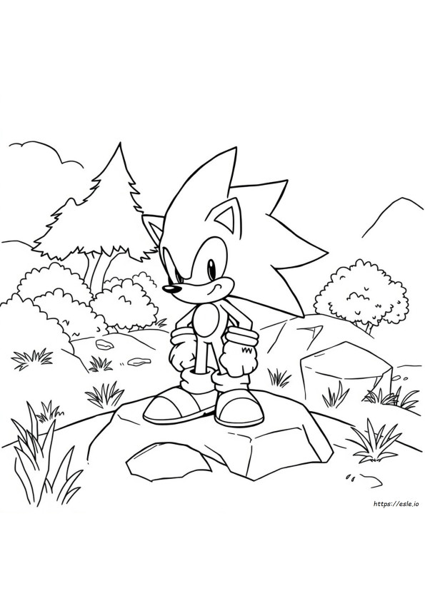 Coloring Pages Of Sonic The Werehog