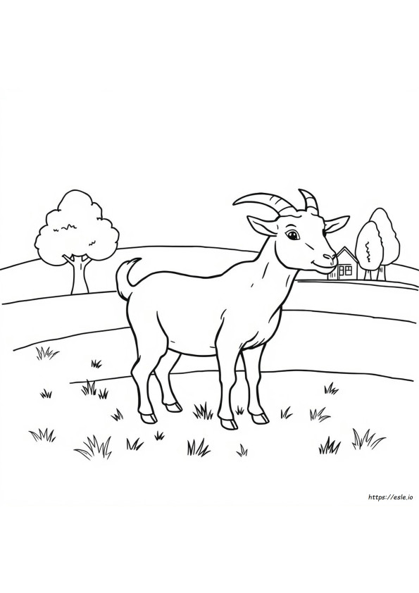 Colouring Picture Of Goat