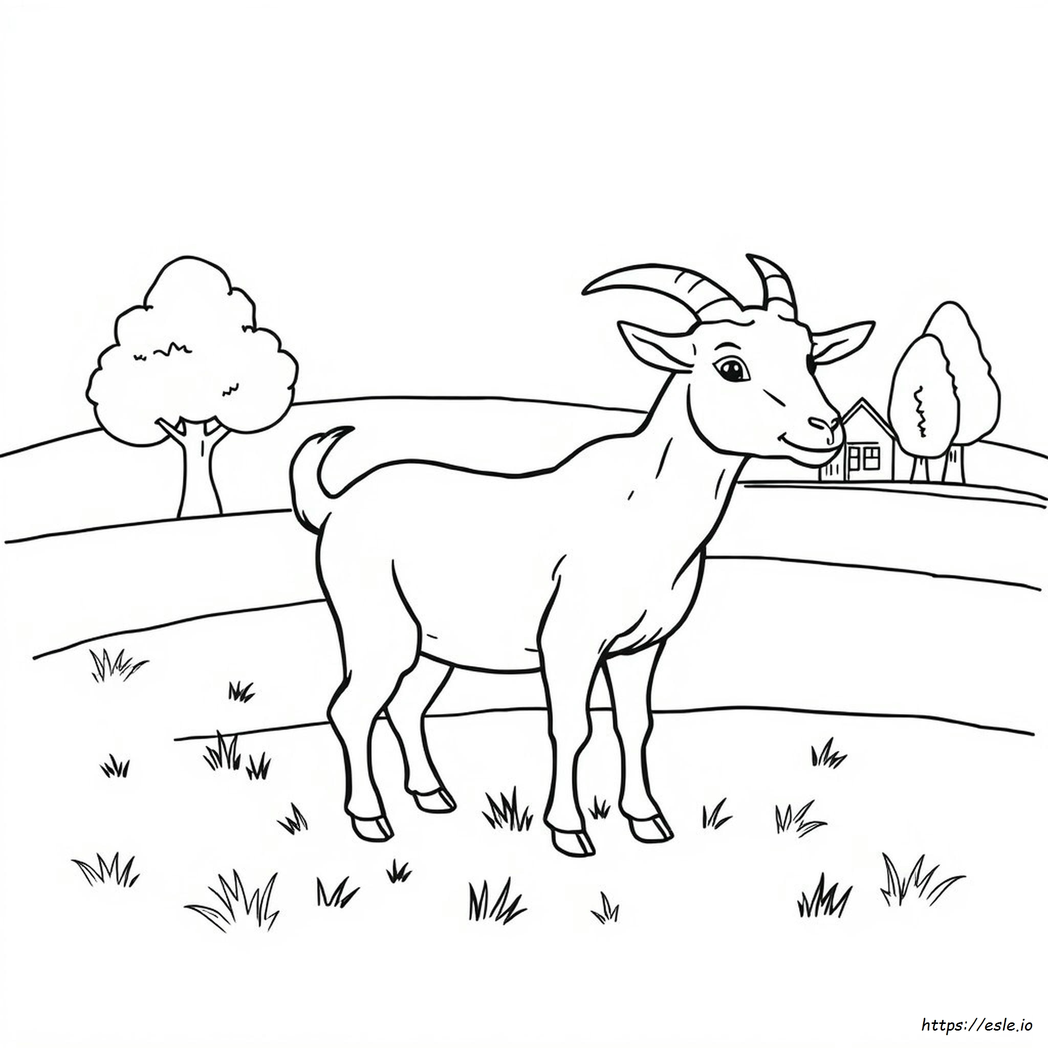 Colouring Picture Of Goat