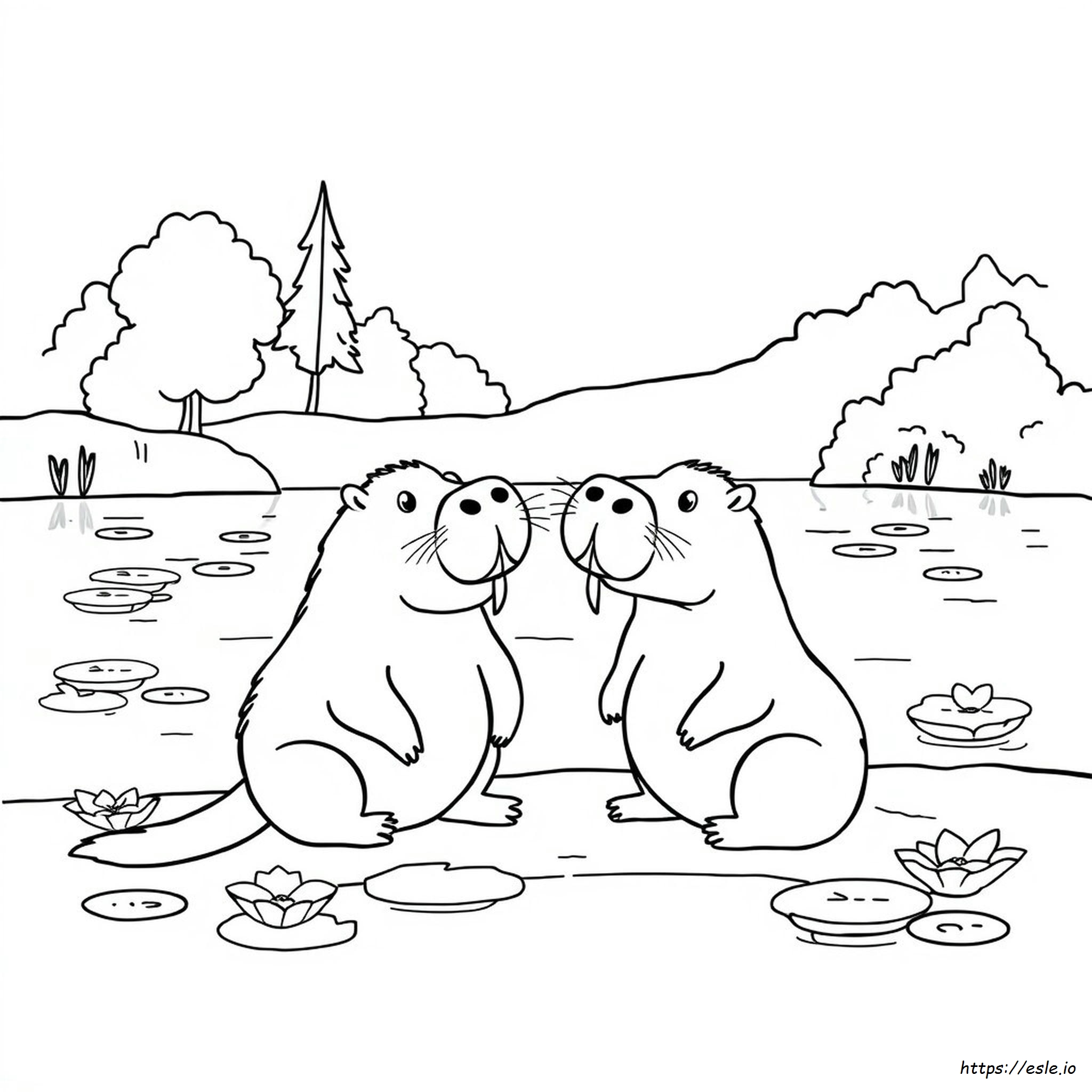 Capibara Cartone Animato Carino Capibara Da Colorare