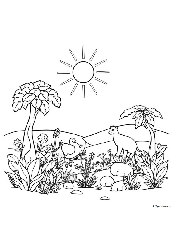 Creation Week Coloring Pages