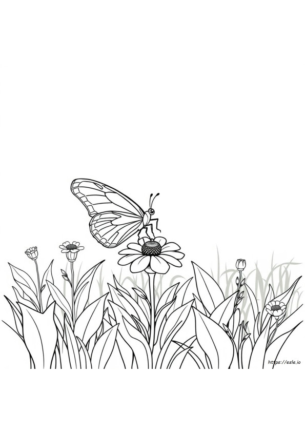 Página Para Colorear De Mariposa