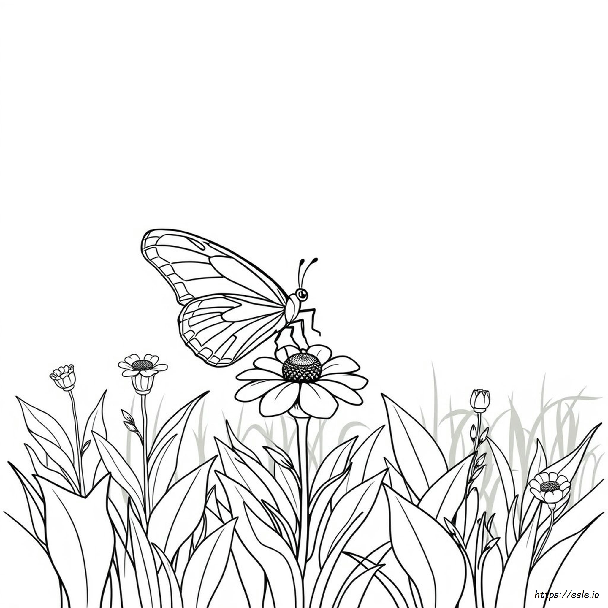 Butter Fly Coloring Page