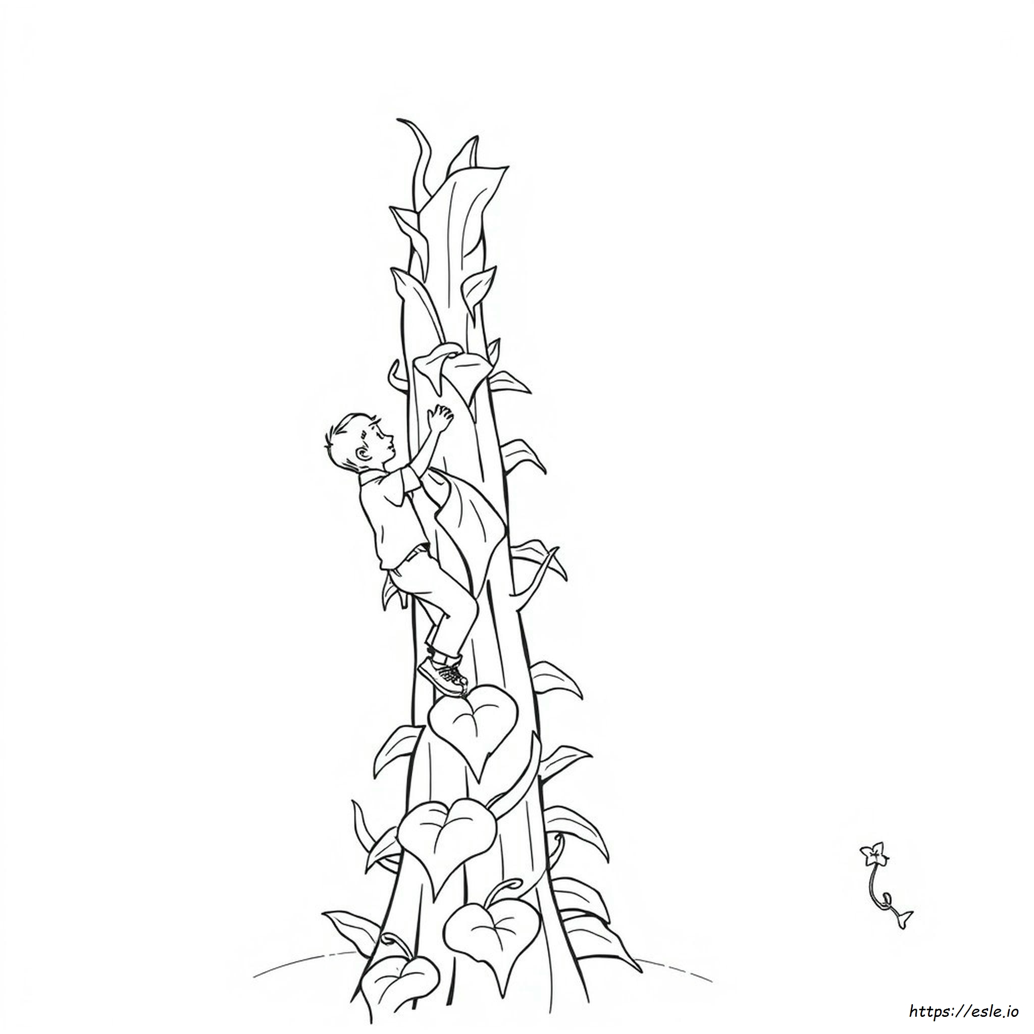 Jack And The Beanstalk Colouring In