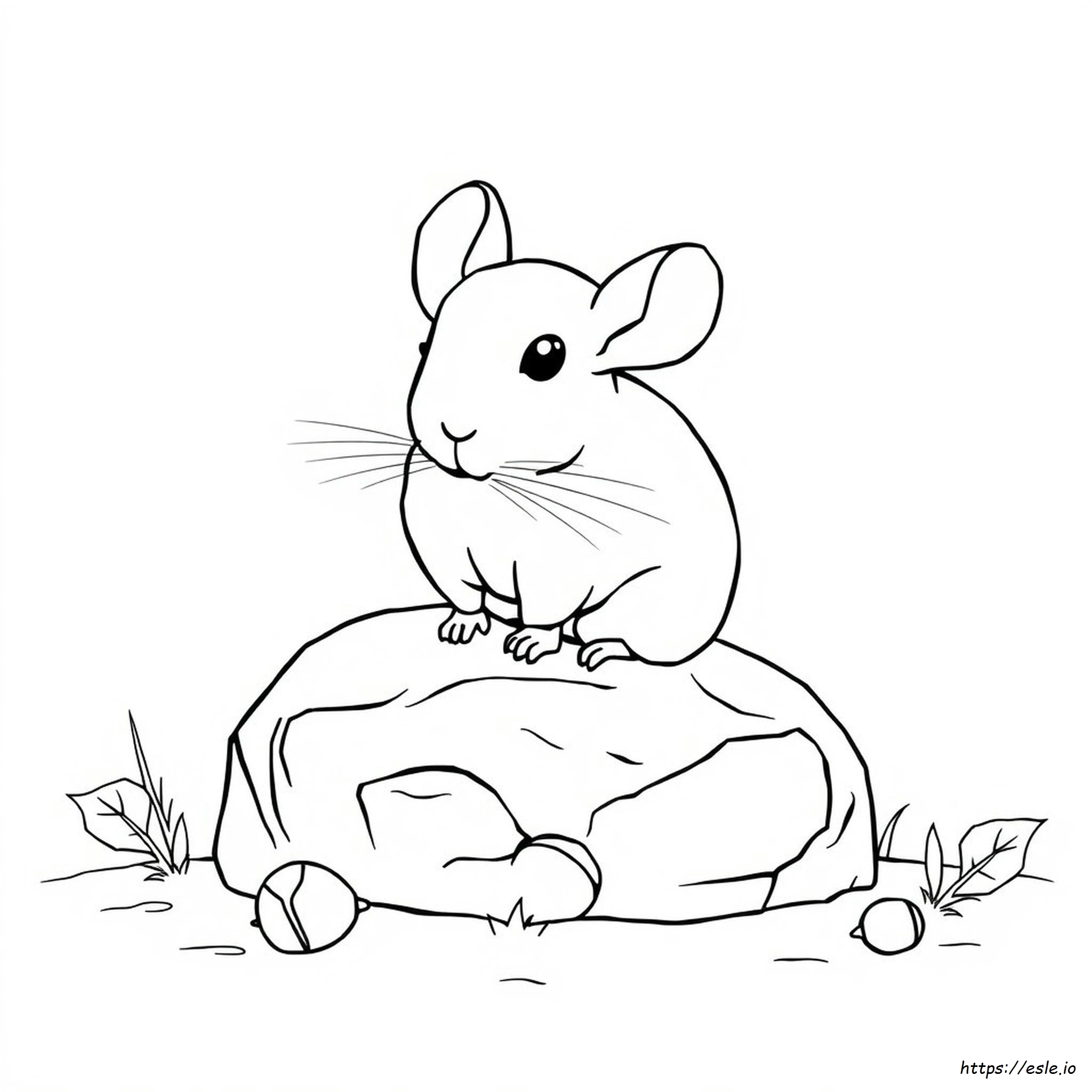 Coloring Pages Of Chinchillas