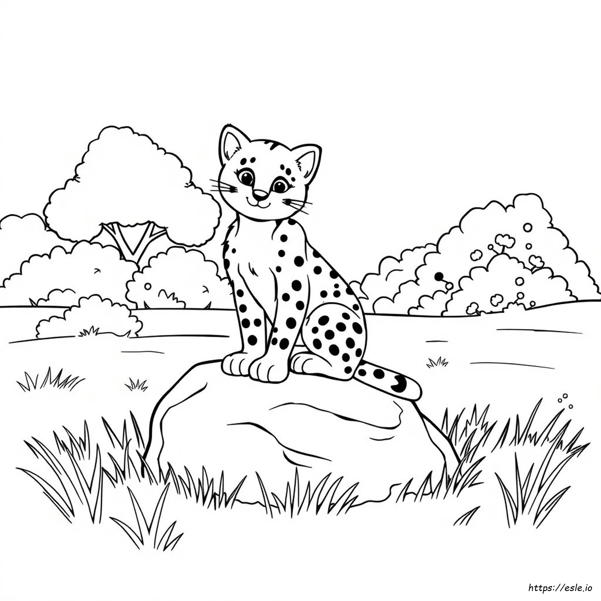 Bobcat Coloring Page Printable