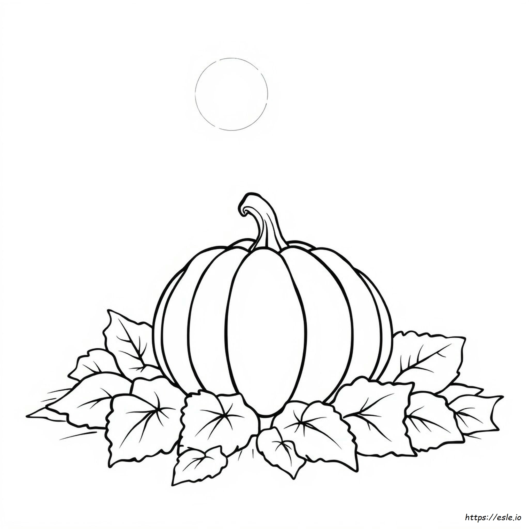 Free Pumpkin Coloring Pages Preschoolers