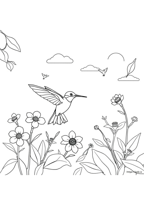 Coloriage Colibri