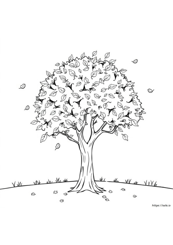 Autumn Leaves Colouring Pages