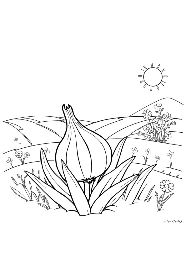 Onion Coloring Picture